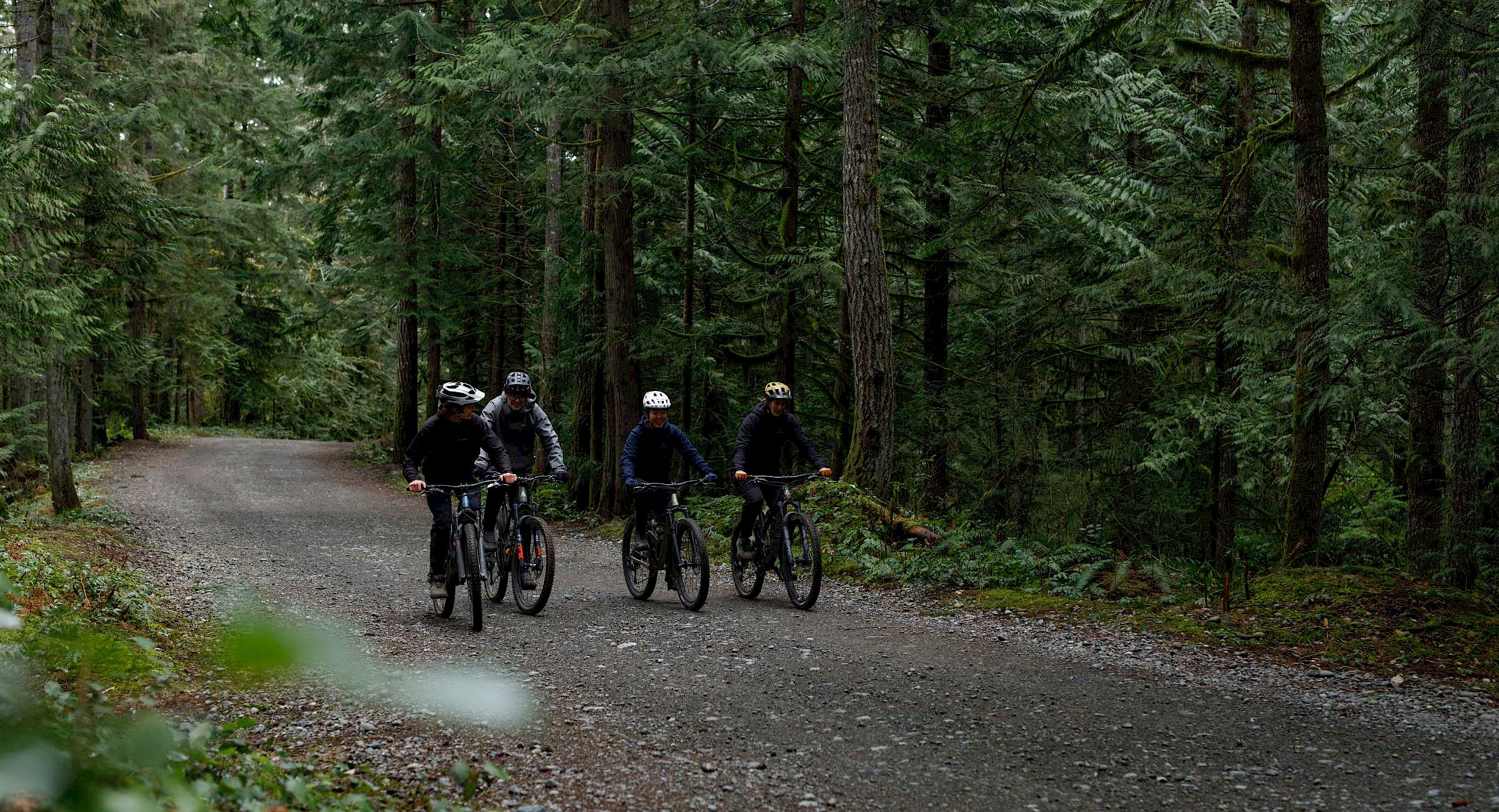 Four people mountain biking in the forest