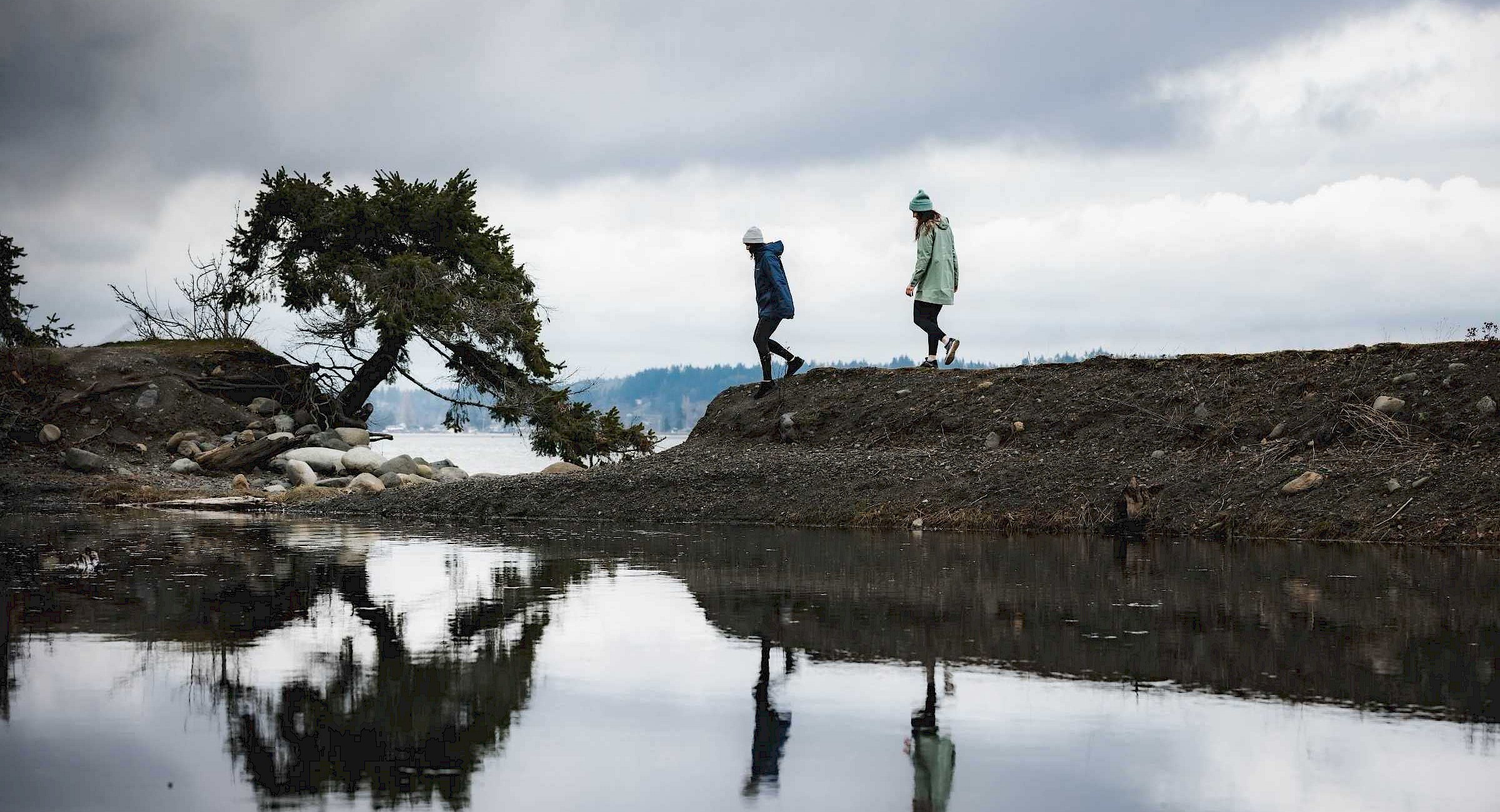 Two people walking on a log at the beach