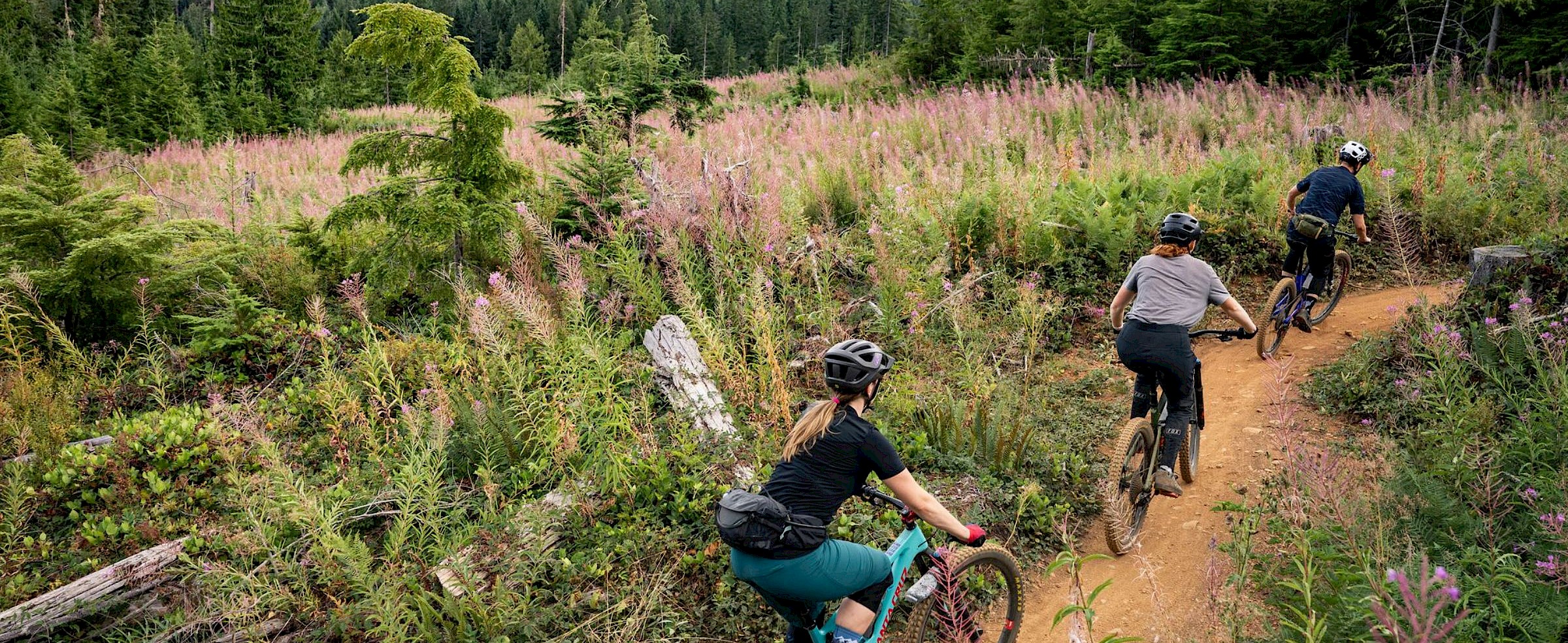 Mountaing Biking along Sobo No Michi in Cumberland