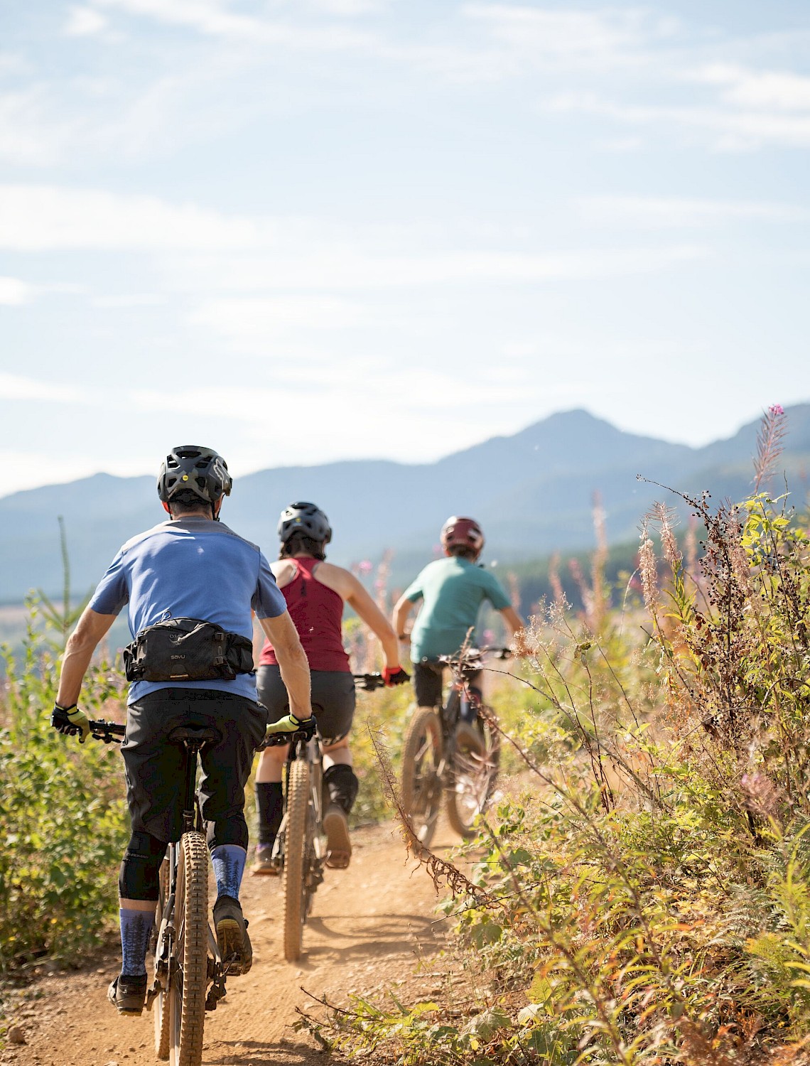 Family mountain biking in Cumberland